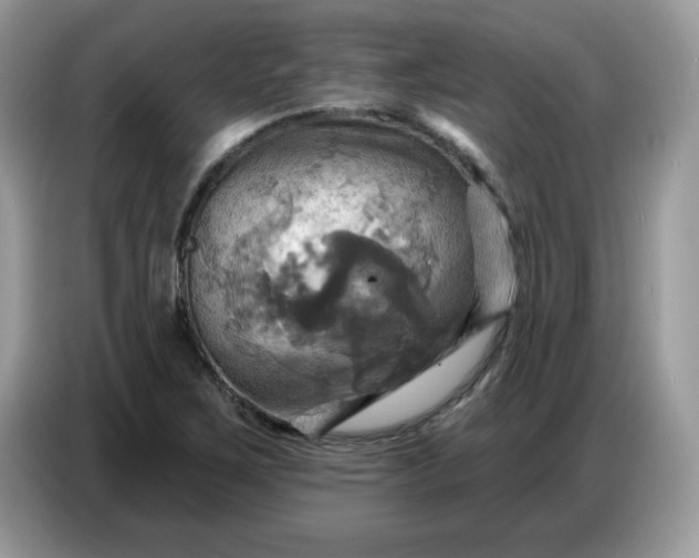 X0000086751267200704271703