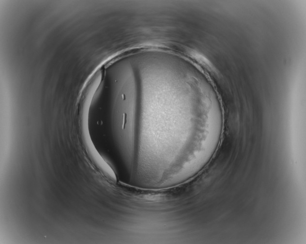 X0000086751268200704271703