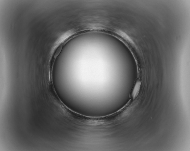 X0000086751269200704271703