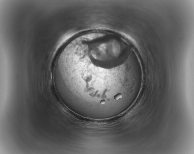 X0000086751271200704271703