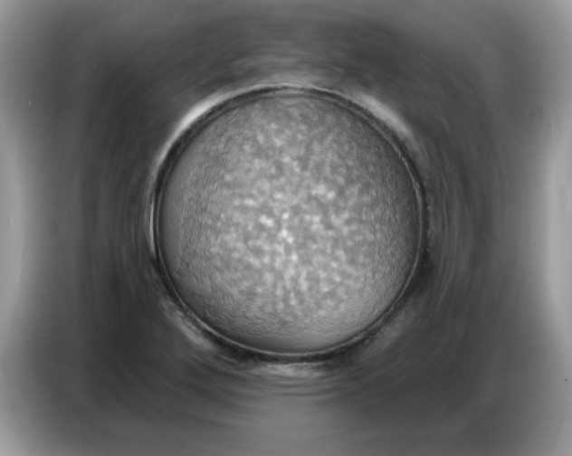 X0000086751272200704271703