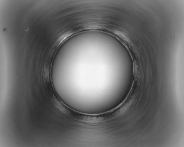 X0000086751273200704271703