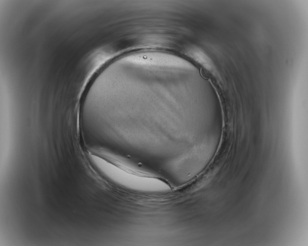 X0000086751275200704271703