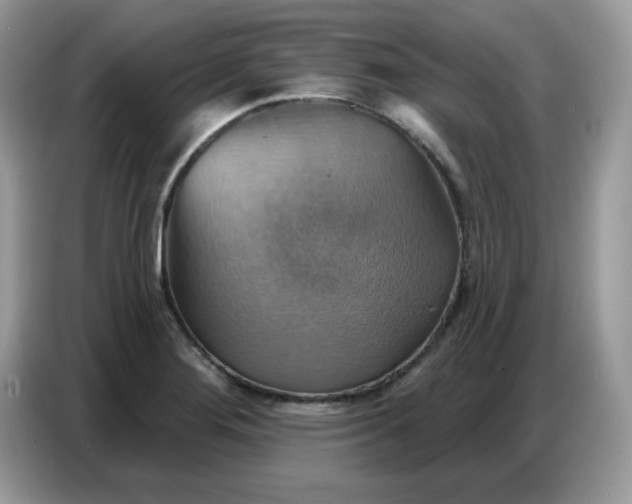 X0000086751276200704271703