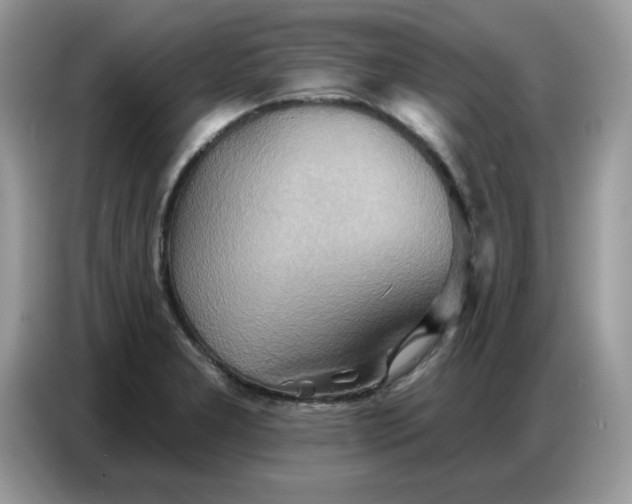 X0000086751277200704271703