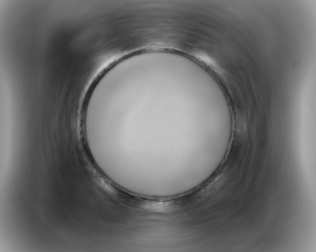 X0000086751278200704271703