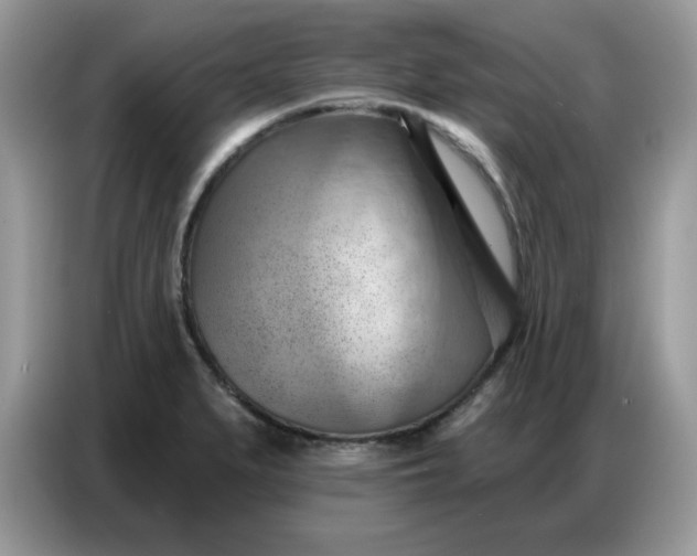 X0000086751279200704271703