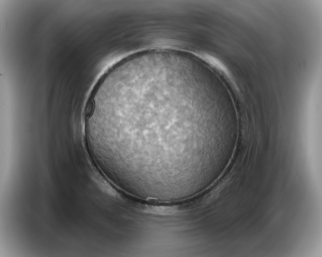 X0000086751280200704271703