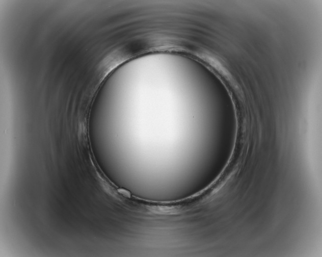 X0000086751281200704271703