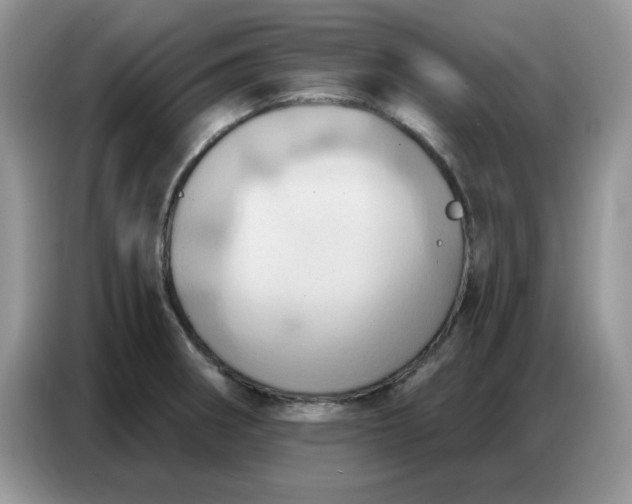 X0000086751282200704271703