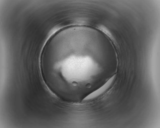 X0000086751283200704271703