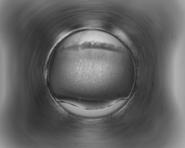 X0000086751284200704271703