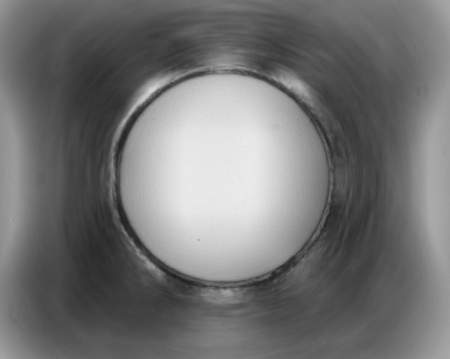 X0000086751286200704271703