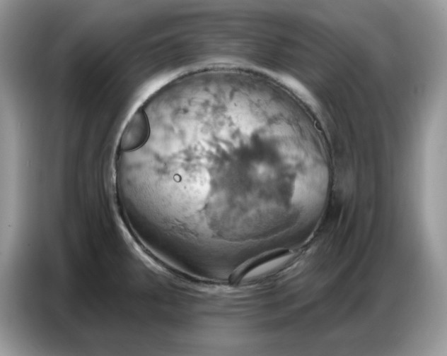 X0000086751287200704271703