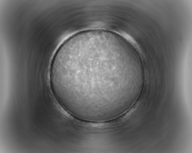 X0000086751288200704271703