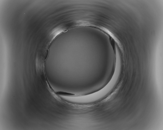 X0000086751289200704271703