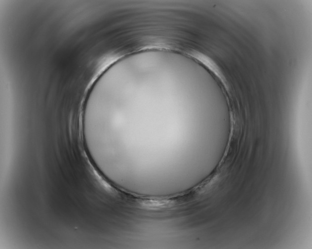 X0000086751290200704271703