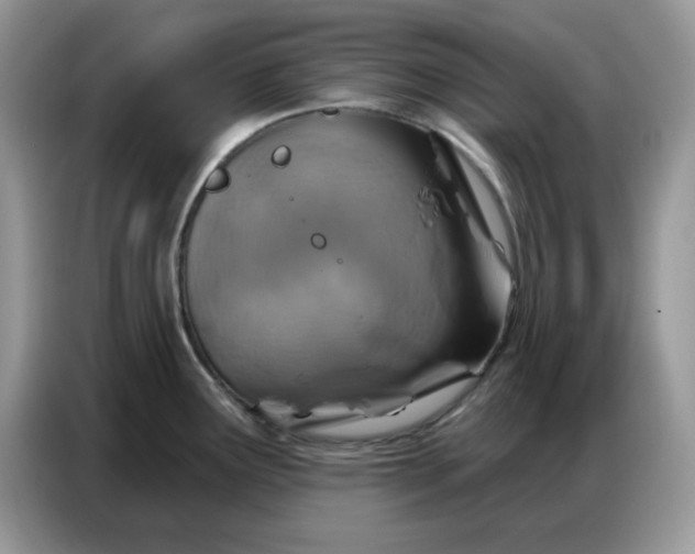 X0000086751291200704271703