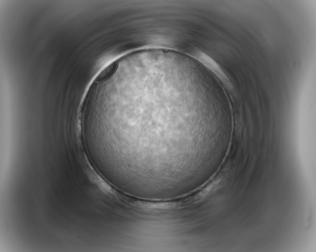 X0000086751292200704271703