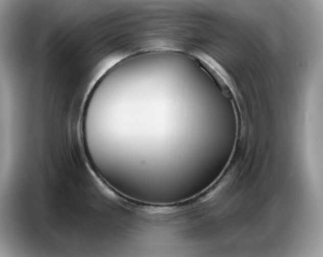 X0000086751293200704271703