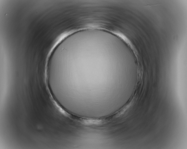 X0000086751294200704271703