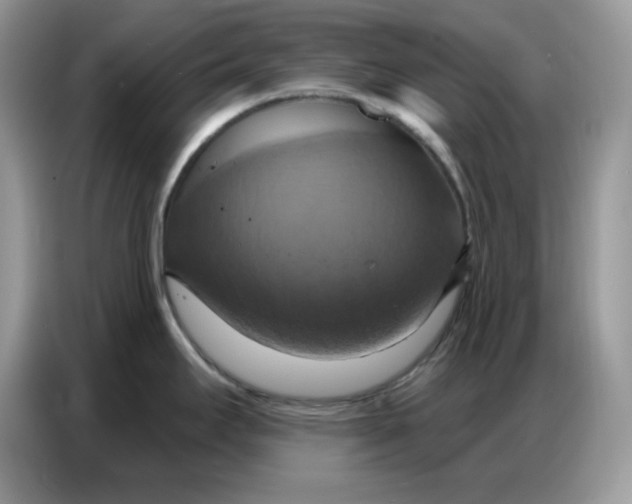 X0000086751295200704271703