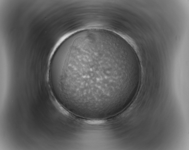 X0000086751296200704271703