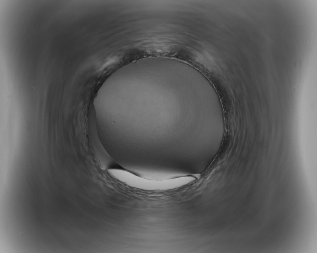 X0000086751297200704271702