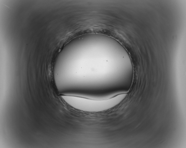 X0000086751298200704271702