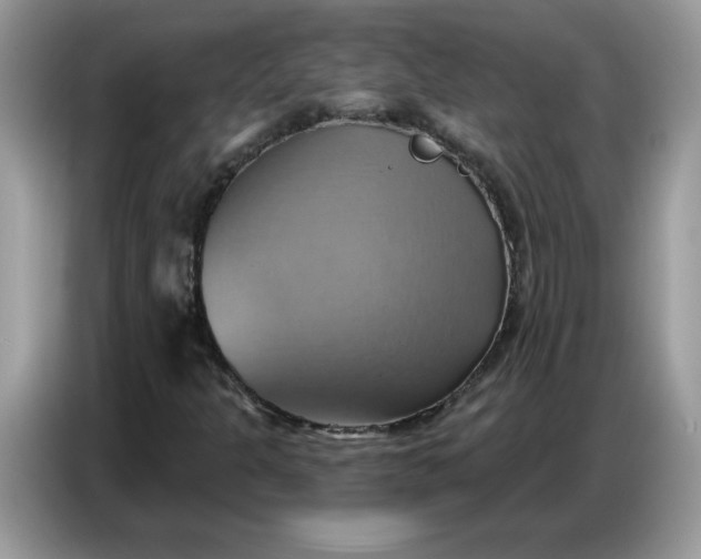 X0000086751301200704271702