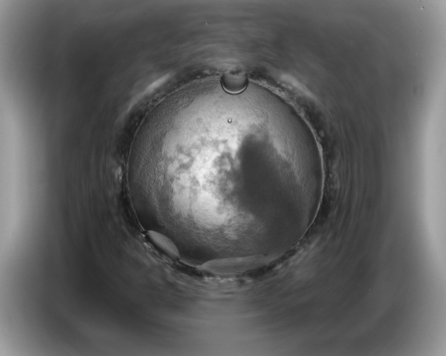 X0000086751302200704271702