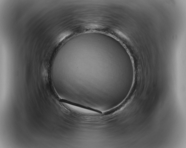 X0000086751305200704271702