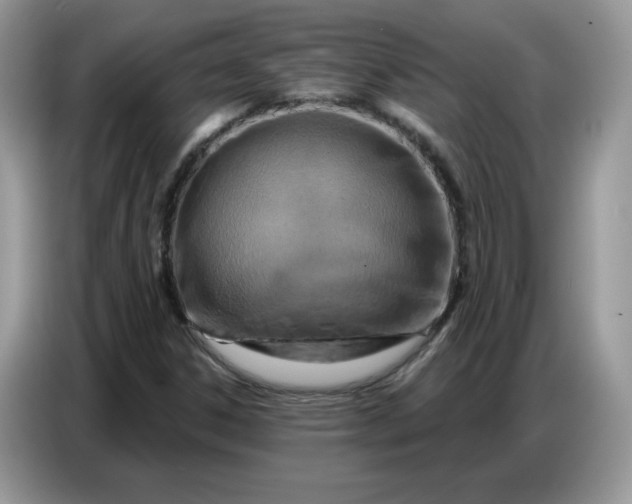 X0000086751306200704271702