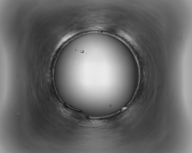 X0000086751308200704271702