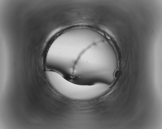 X0000086751310200704271702