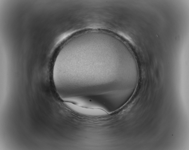 X0000086751311200704271702