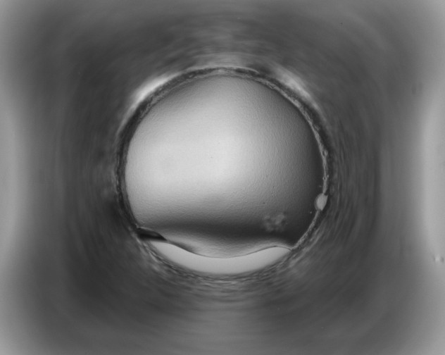 X0000086751312200704271702