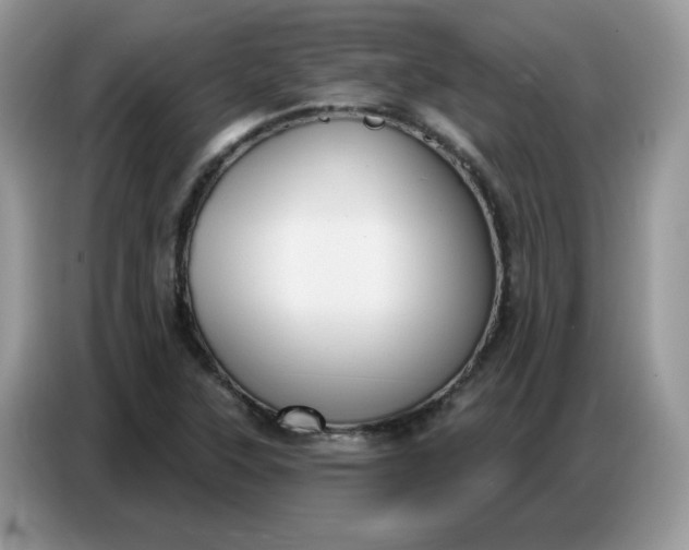 X0000086751315200704271702