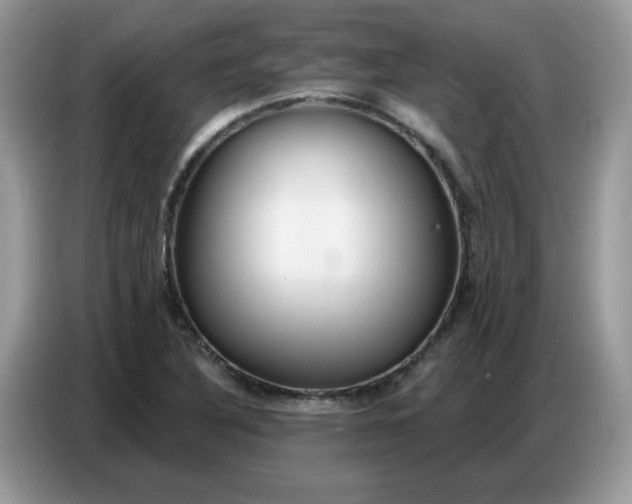 X0000086751316200704271702