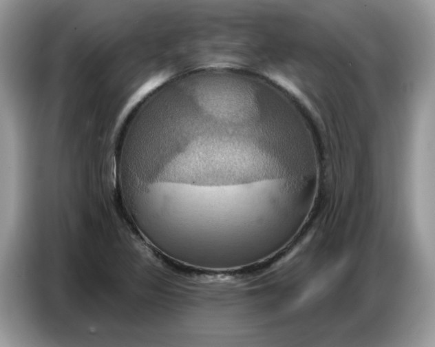 X0000086751317200704271702