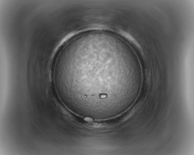 X0000086751318200704271702