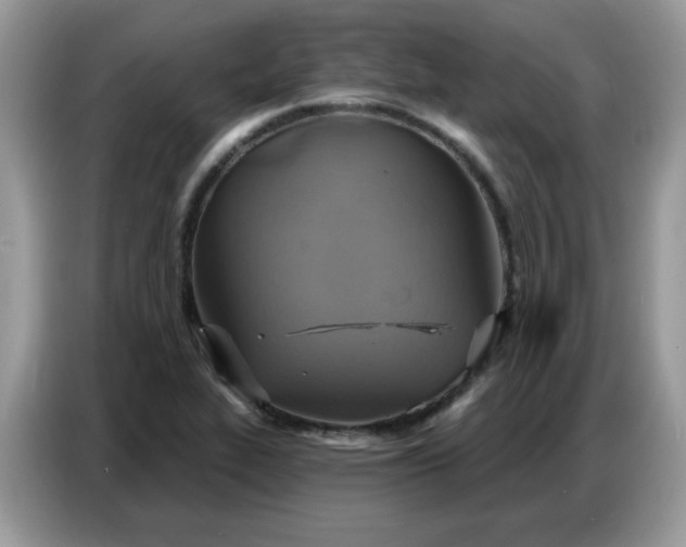 X0000086751319200704271702