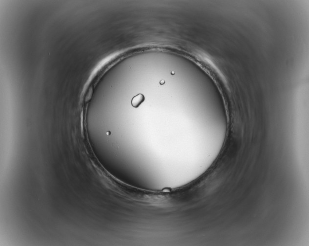 X0000086751320200704271702