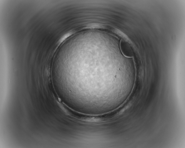 X0000086751321200704271702