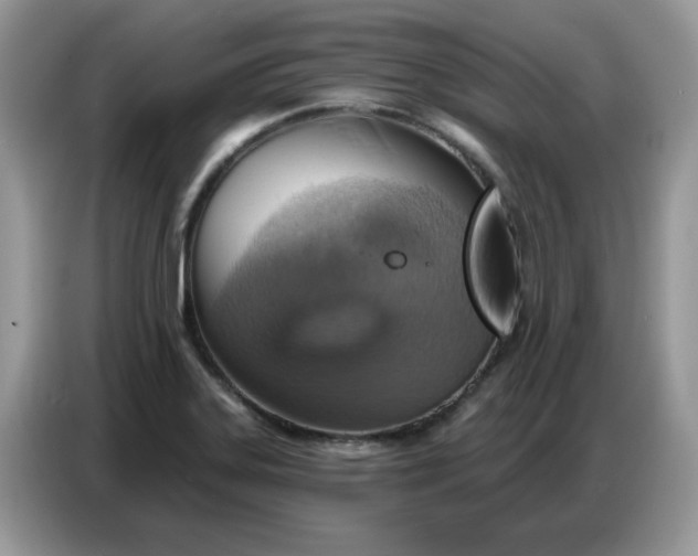 X0000086751323200704271702