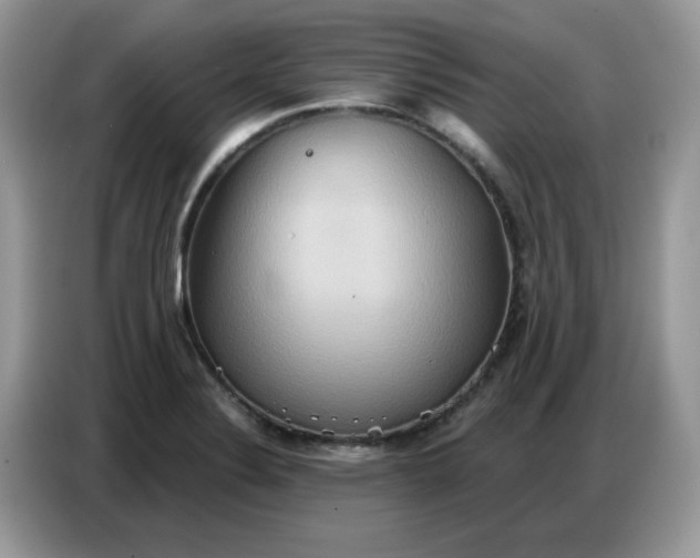 X0000086751324200704271702