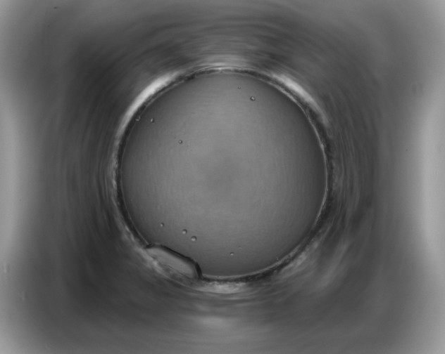 X0000086751325200704271702