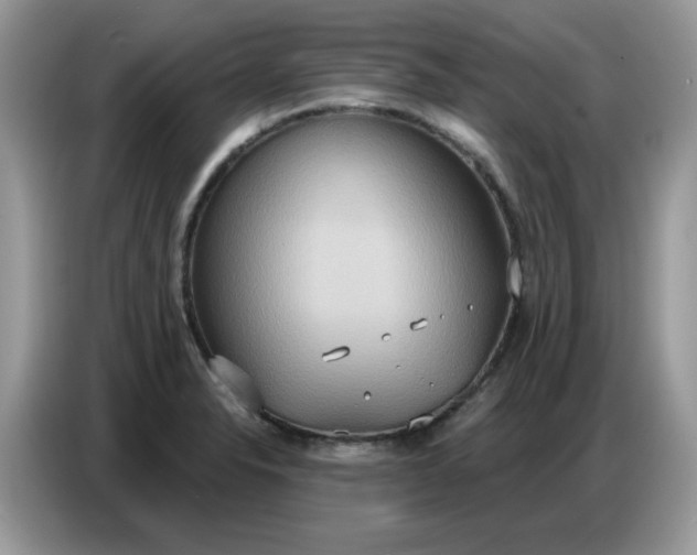 X0000086751326200704271702