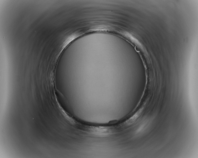 X0000086751329200704271702