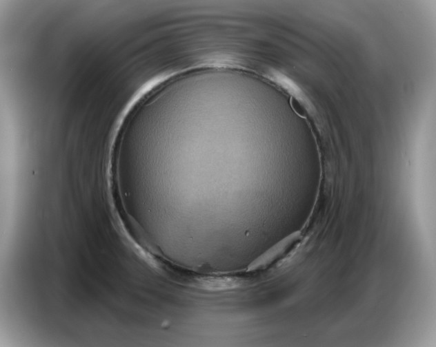 X0000086751331200704271702